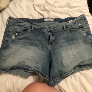 Light wash distressed torrid denim shorts